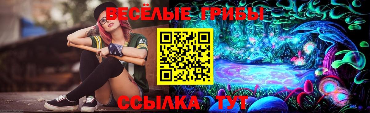 Галлюциногенные грибы ЛСД Ростов Великий
